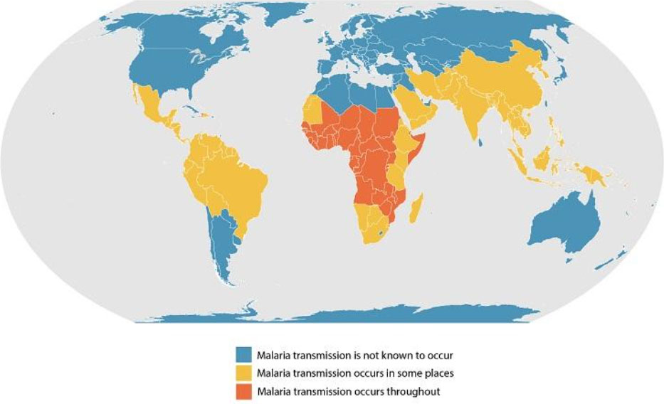 Improving Vaccines for Malaria