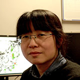 Dr. Minye Zhan