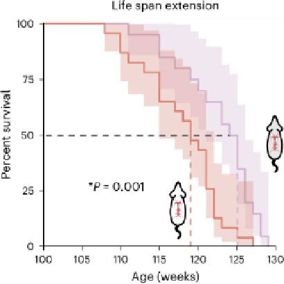Aging is for Everyone
