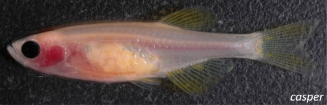 Location, Location, Location