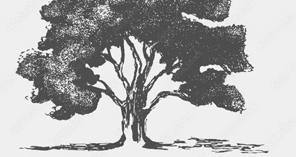 MSMR is Announcing the Beech Tree Scholars Program